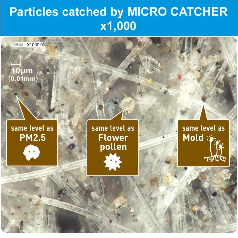 Images of Comparison of Filter Fibers