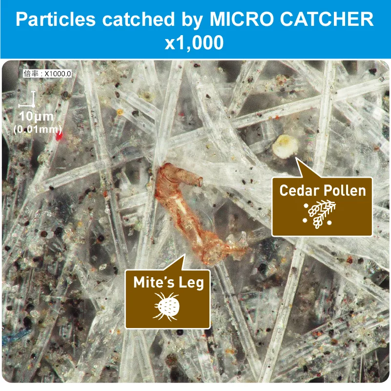 Images of Comparison of Filter Fibers