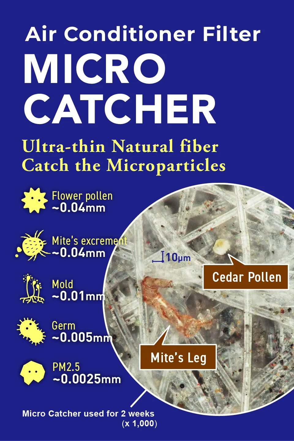 Images of Microcatcher